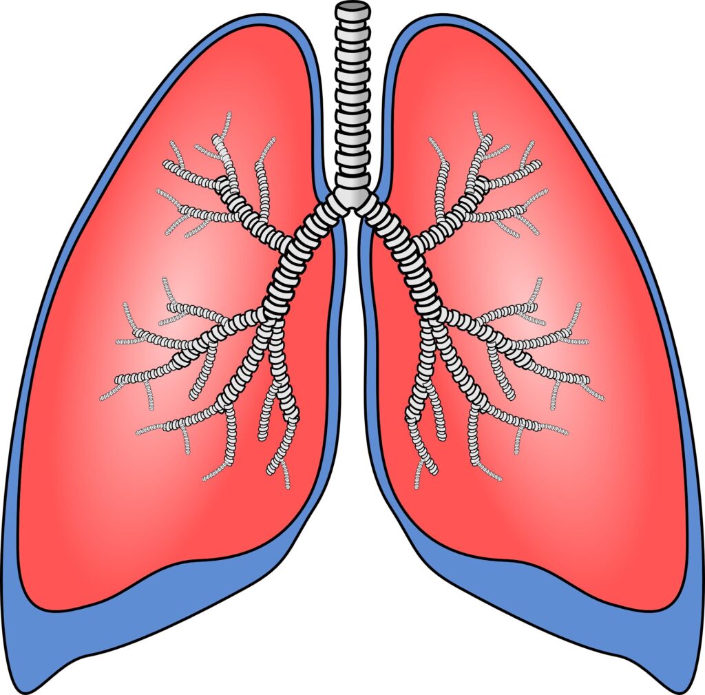 Resistance-breathing training found to lower blood pressure