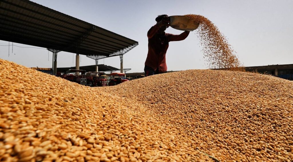 Govt hikes wheat MSP by Rs 110 per quintal