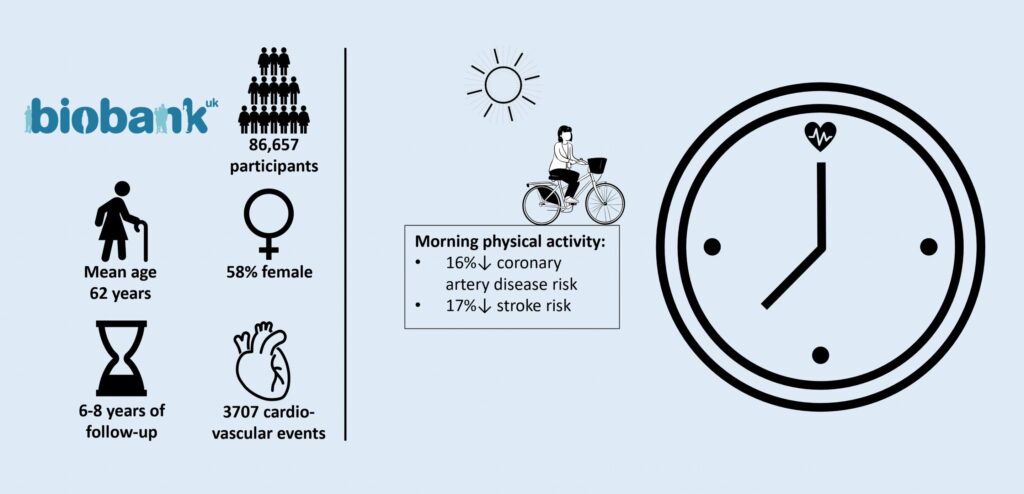 Morning physical activity is associated with the lowest risk of heart disease and stroke