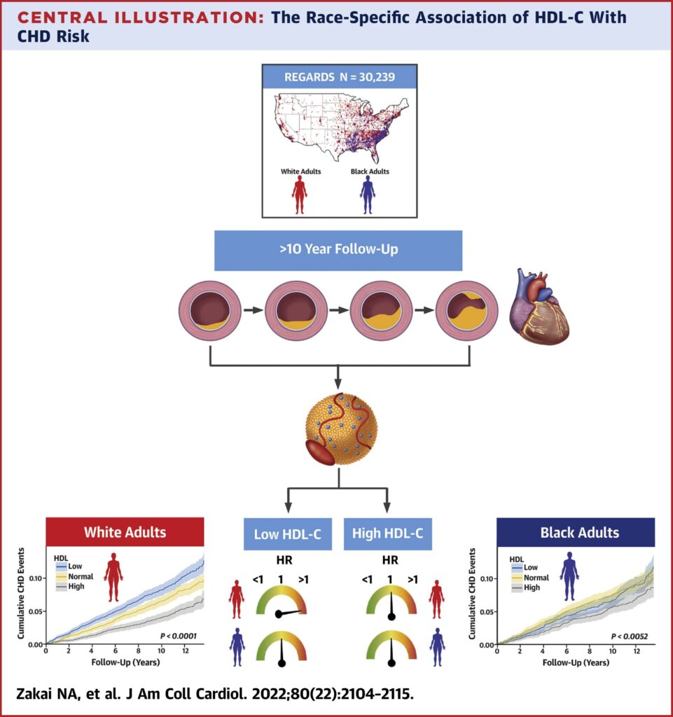 Study challenges 'good' cholesterol's role in universally predicting heart disease risk