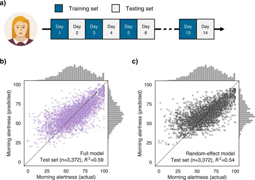 Testing the factors that make people feel more awake and alert during mornings and afternoons