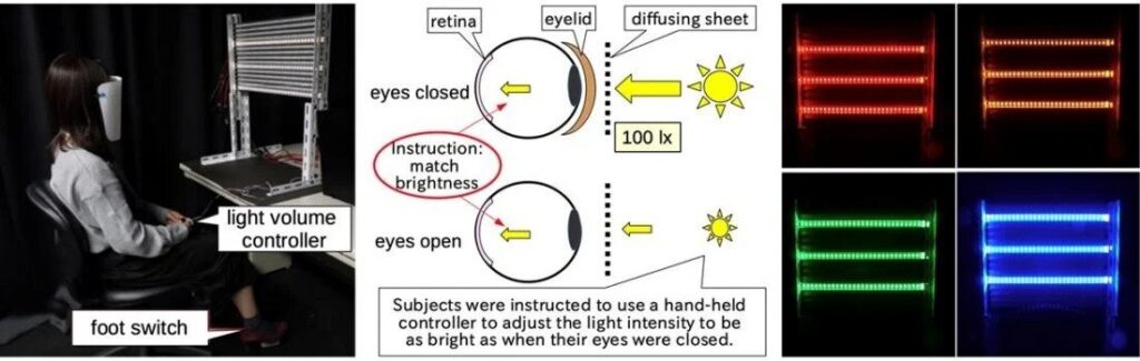 Closed-eye perception of brightness is significantly stronger than previously thought