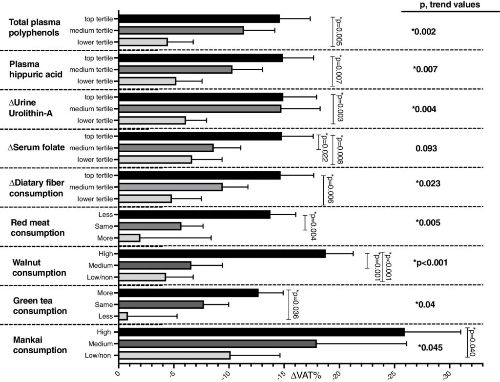 Green Mediterranean diet reduces twice as much visceral fat as traditional Mediterranean diet