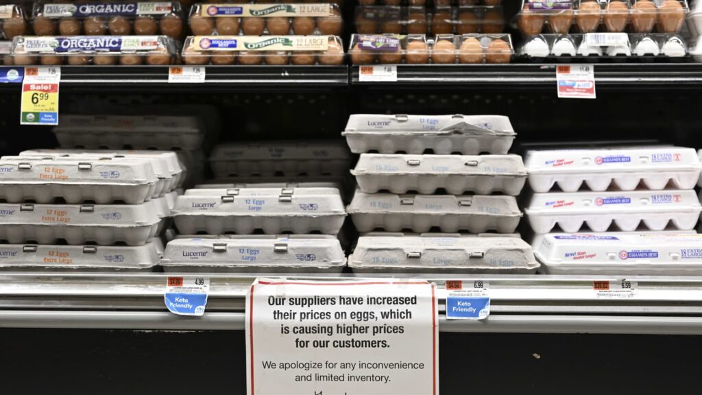 High egg prices due to a 'collusive scheme' by suppliers, group claims