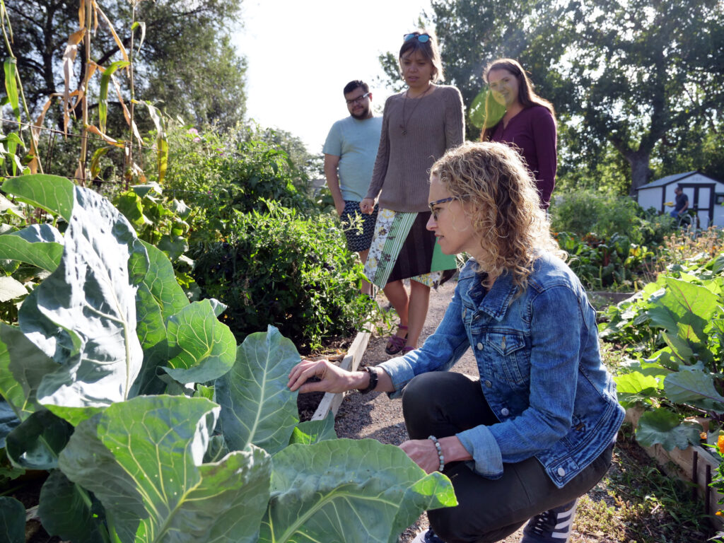 Study shows gardening may help reduce cancer risk, boost mental health