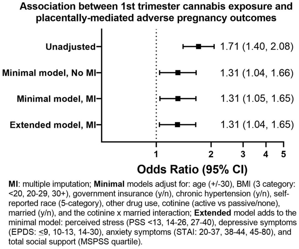 New research finds that people who use cannabis early in pregnancy are at increased risk of poor pregnancy outcomes