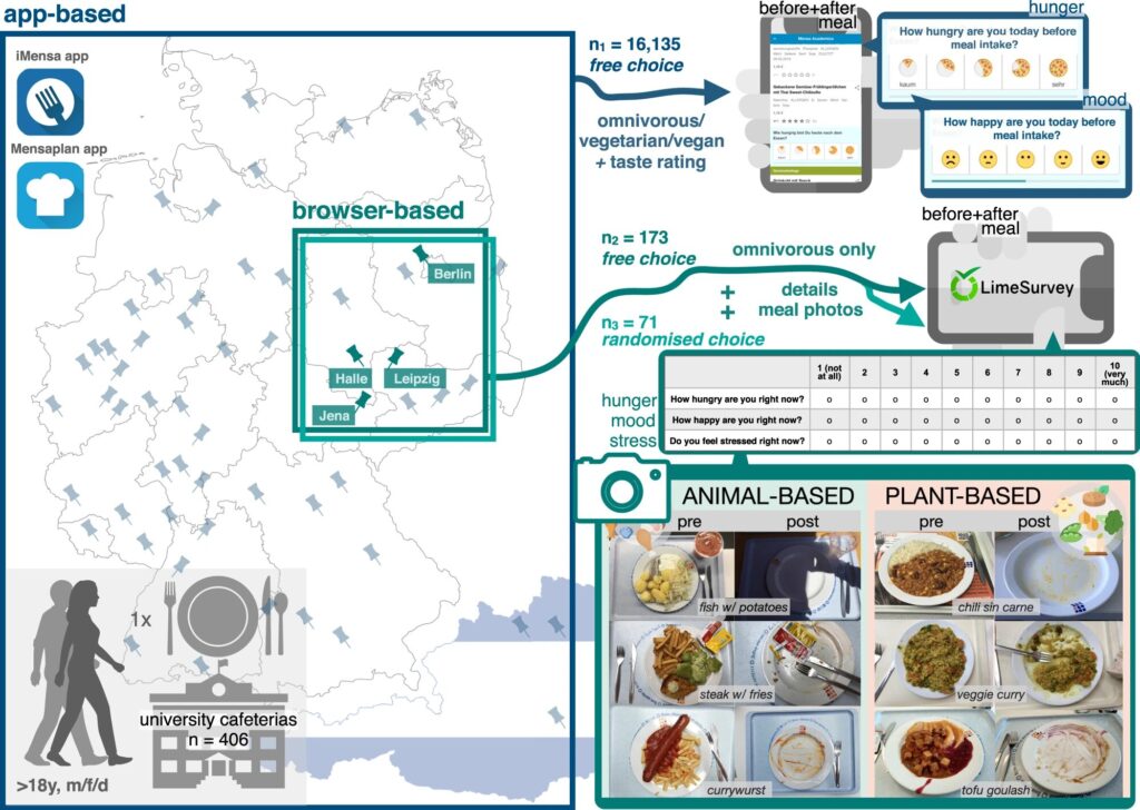 Effects of single plant-based vs. animal-based meals on satiety and mood