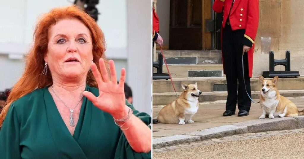 Sarah Ferguson Meets With Pet Psychic About Queen Elizabeth's Corgis