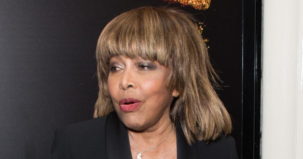 Tina Turner 'Knew the End' Was Near, Settled Estate Matters Years Before Death to Avoid Family Drama: Sources