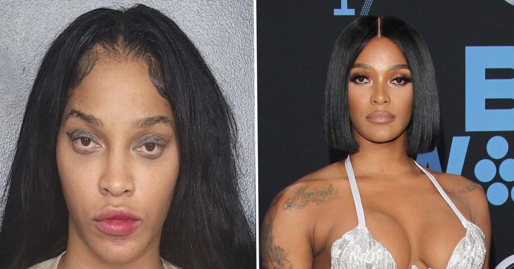 Arrest Warrant Issued for Joseline Hernandez After Prosecutors Accuse Reality Star of Felony Battery, Hurling Racial Slurs