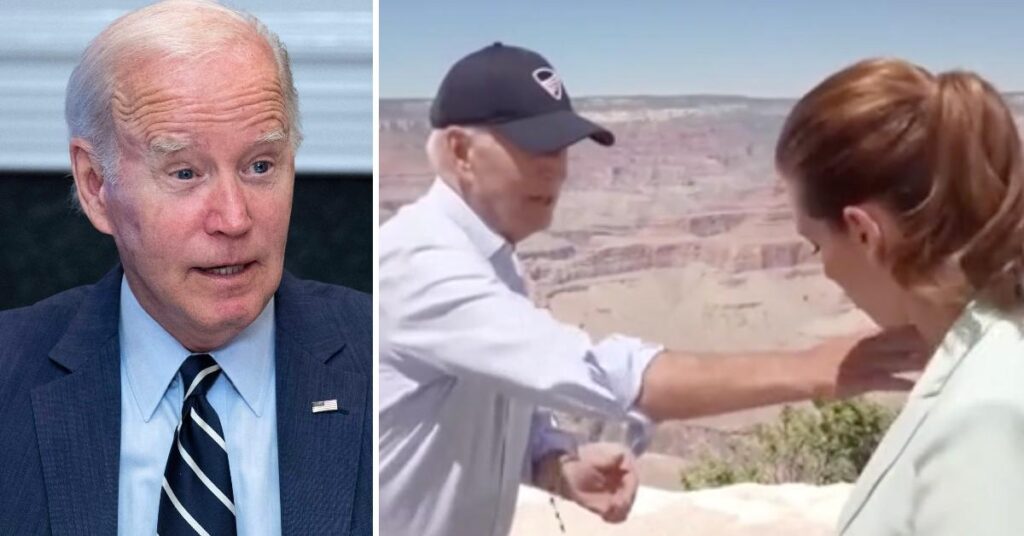 Handsy Biden Swats Away Bug From Meteorologist Stephanie Abrams