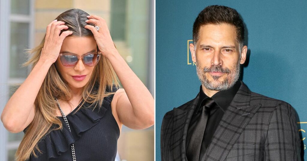 Sofia Vergara Pals Fear She's Partying Too Much Since Joe Manganiello Split: Report