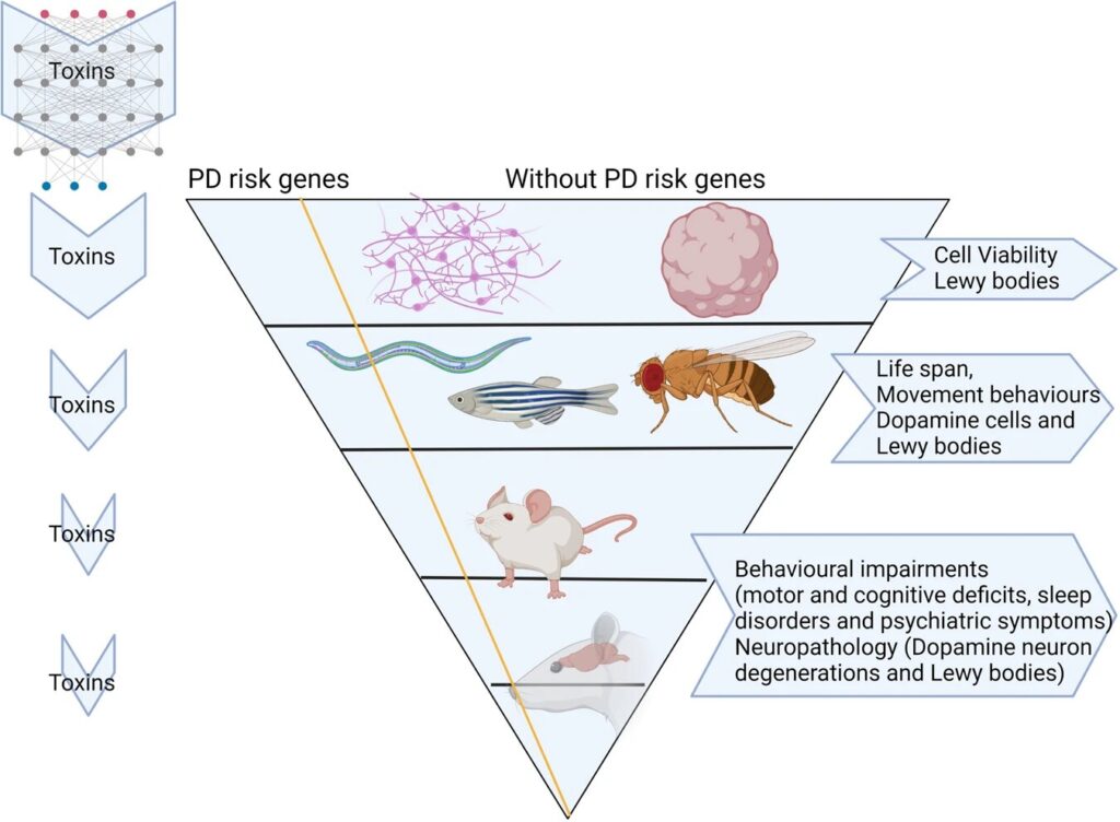 A step-by-step approach for testing pesticides for their possible role in Parkinson's disease