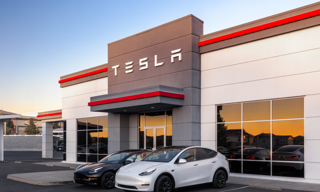 Starting 2024 on the Wrong Foot. What Happened to Tesla Last Week?