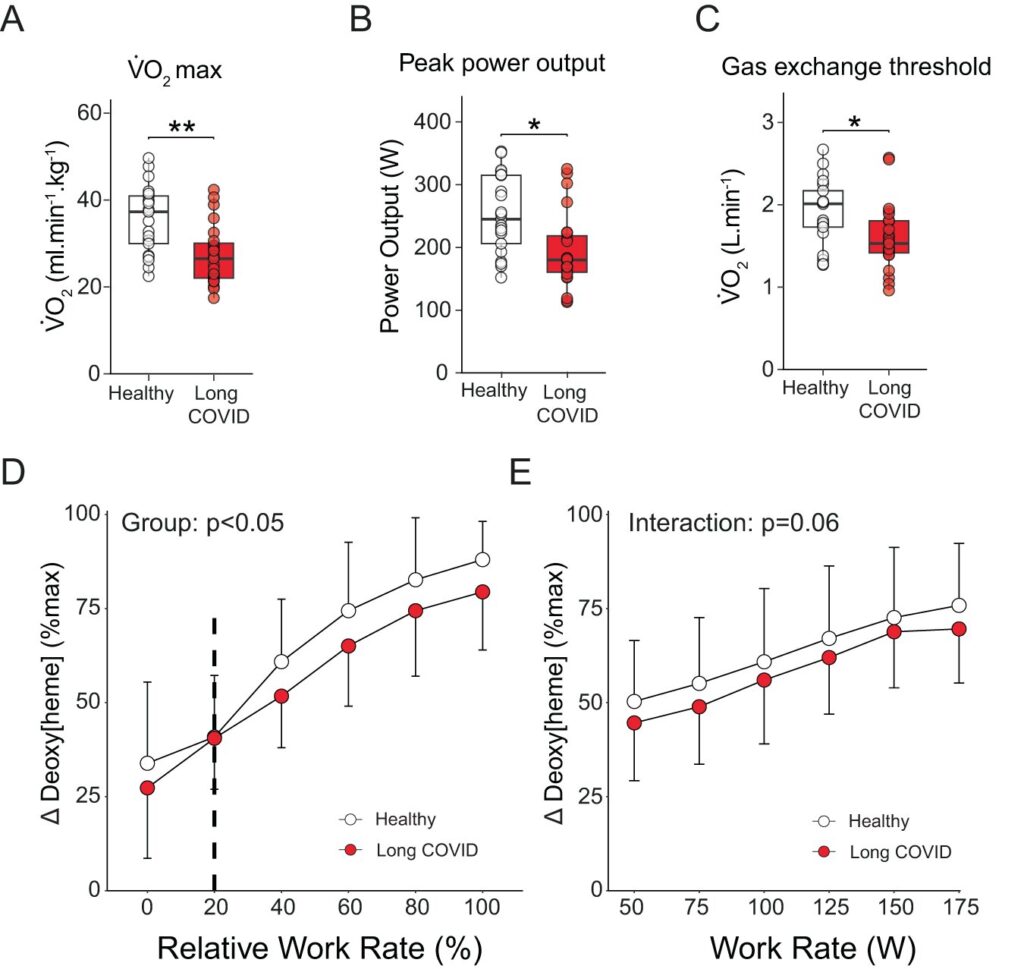 Researchers discover that tiredness experienced by long COVID patients has a physical cause