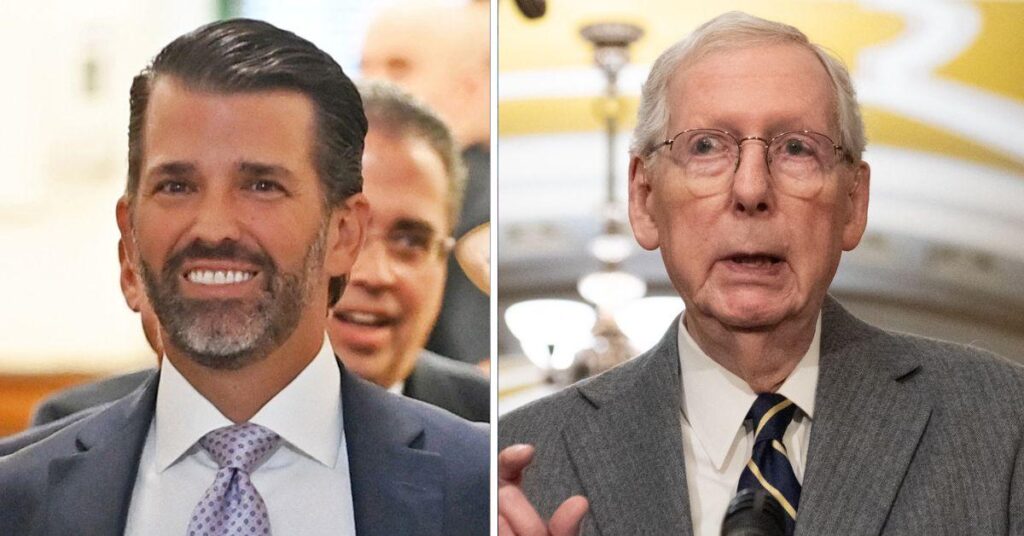 Donald Trump Jr. Takes Swipe At Mitch 'The Glitch' McConnell