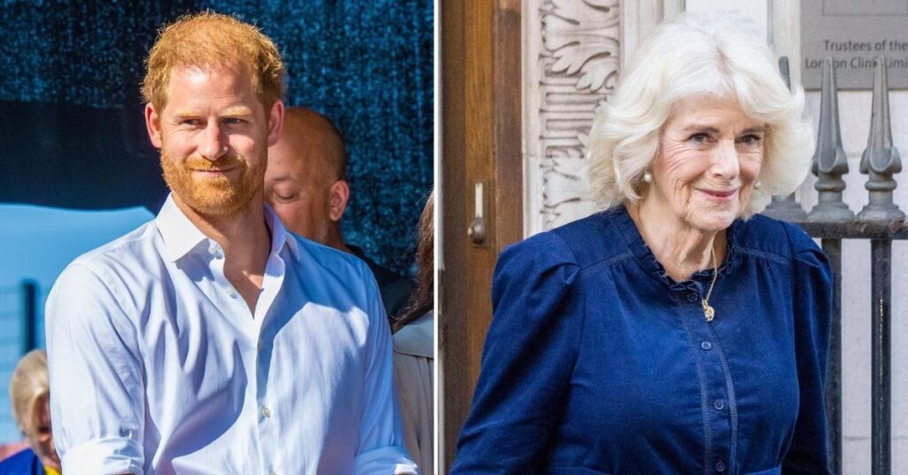 Harry Avoided Queen Camilla When He Spoke to King Charles About Cancer Diagnosis