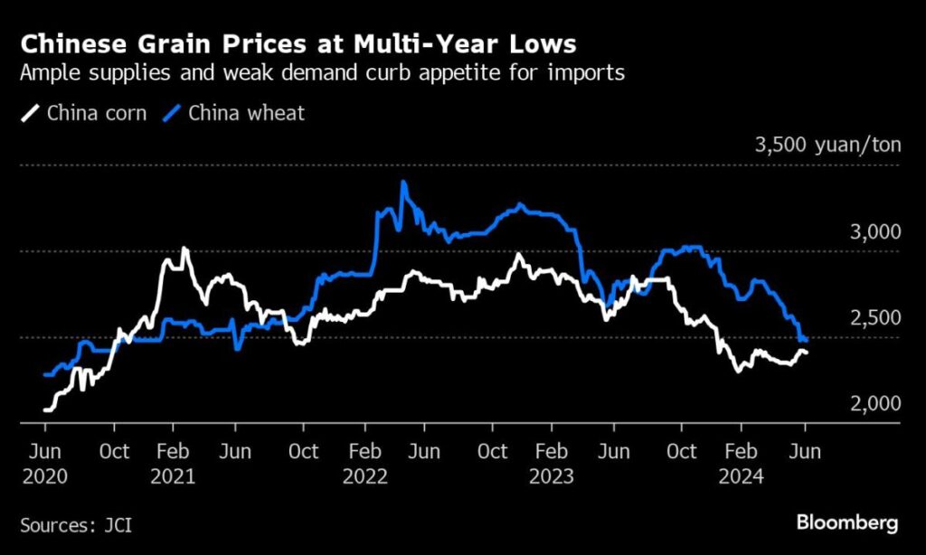 China’s Waning Appetite for Grain Spells Danger for World Market