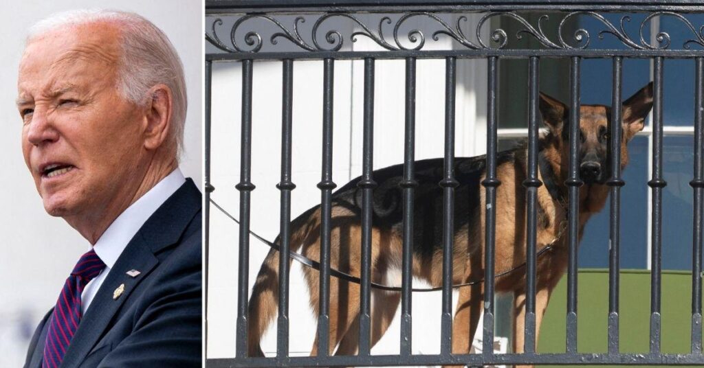 Biden Watched His Dog Attack Secret Service Agents