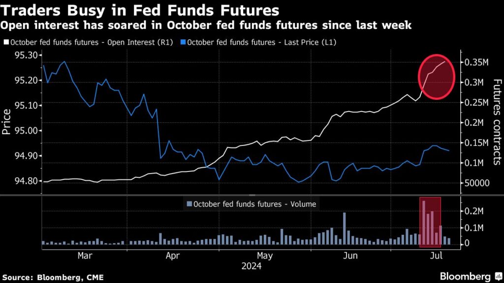 Investors Remember ‘Stocks Can Go Down Too’ in Return to Hedging