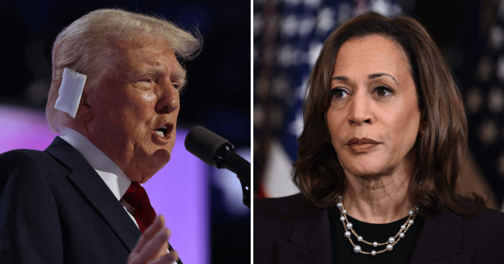 Donald Trump's Plan To Defeat Kamala Harris Revealed