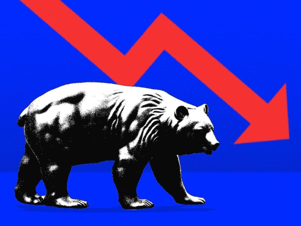 A booming stock market isn't stopping bears from sounding the alarm on a potential crash. Here's what they're worried about.