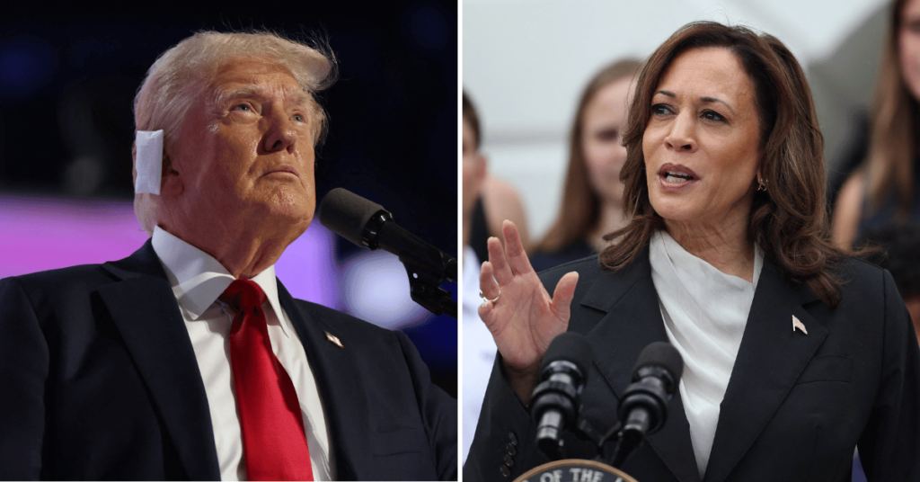 Donald Trump Questions Kamala Harris' Ethnicity