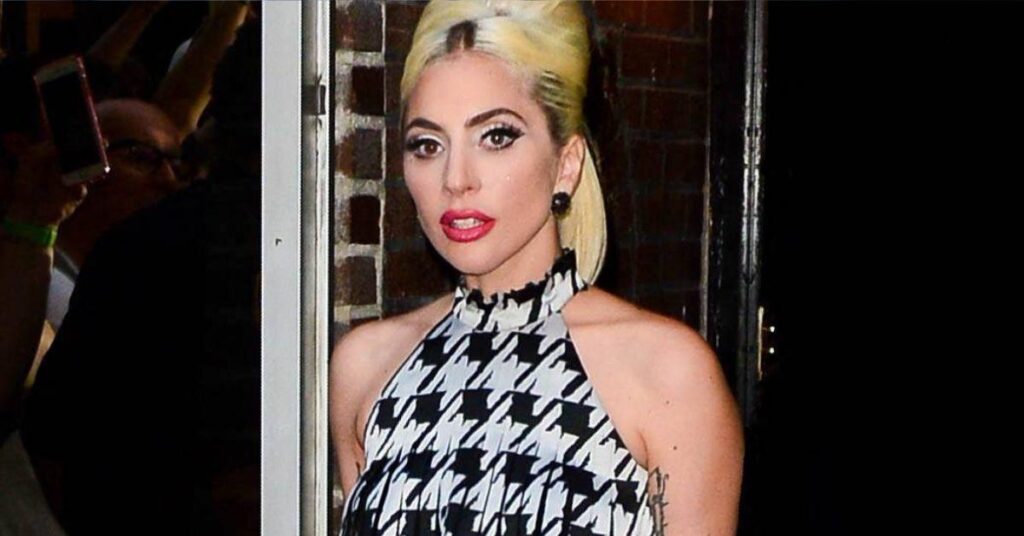 Lady Gaga Branded an 'A--hole' by Animal Rights Activists for 'Buying' New Dog