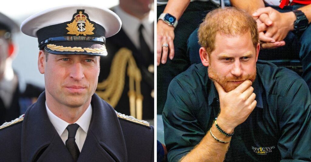 Prince William's Message to Prince Harry Was 'Cold' and to the Point