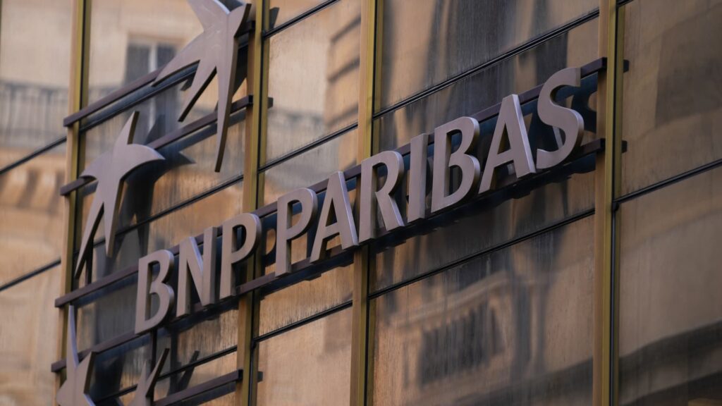 France's BNP Paribas says there are too many European banks