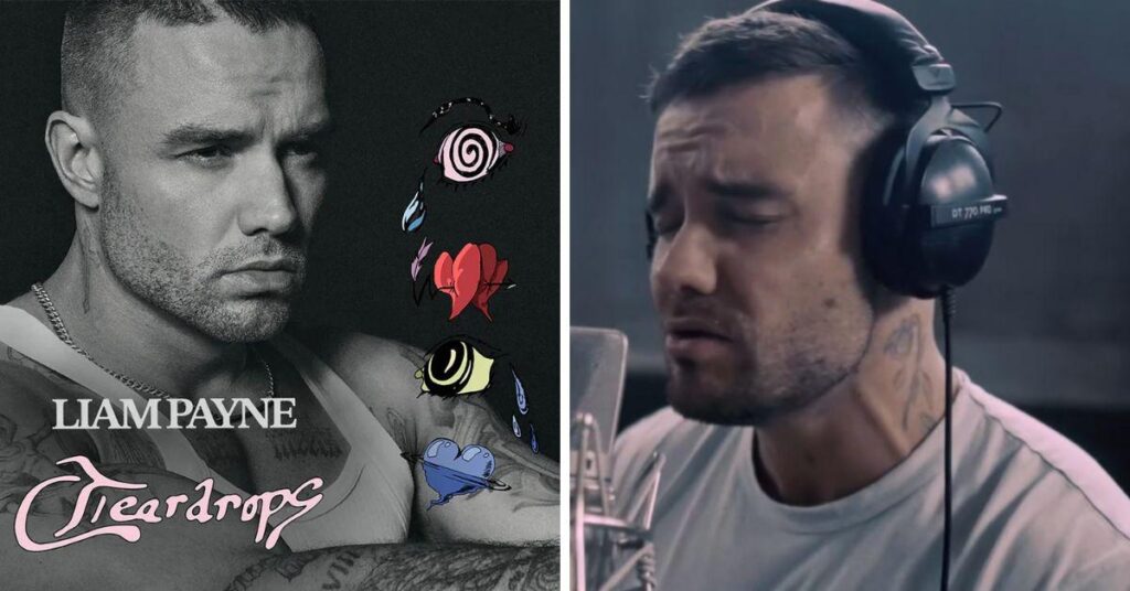 Liam Payne's Unreleased Album Lyrics Spark Suicide Fears About Singer