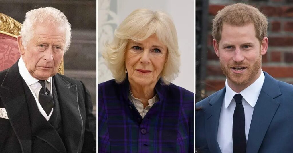 Queen Camilla Begs King Charles to Ditch Meeting With Prince Harry