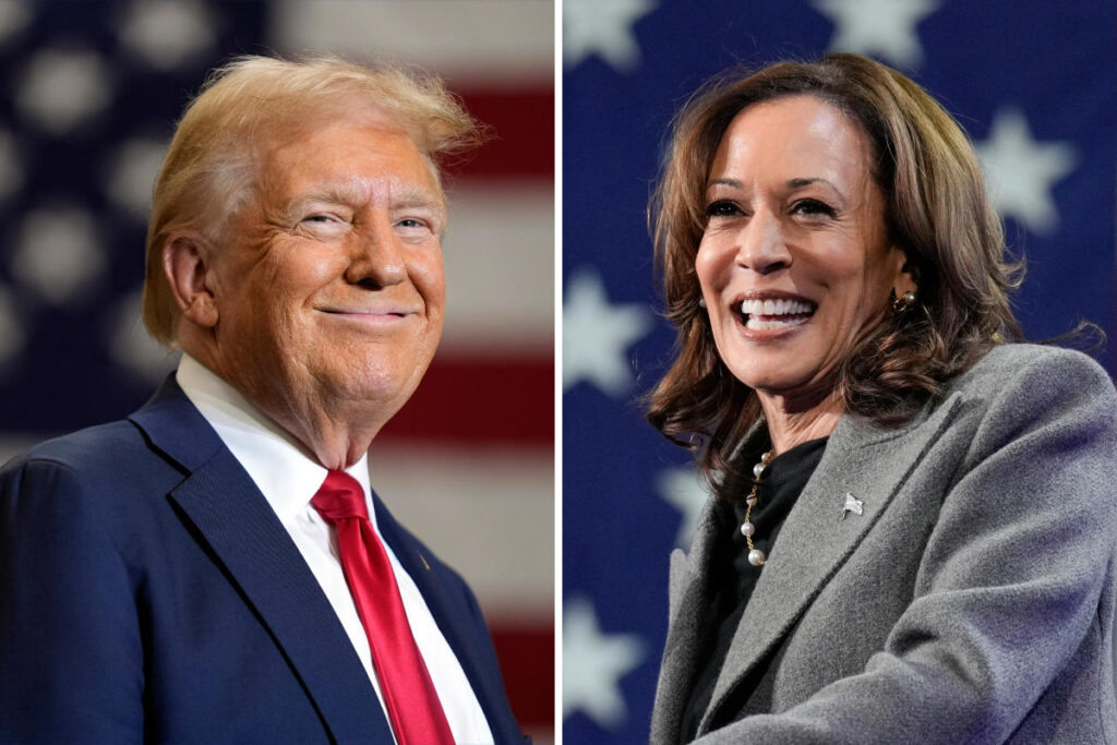 Top portfolio plays for a Trump or Harris victory