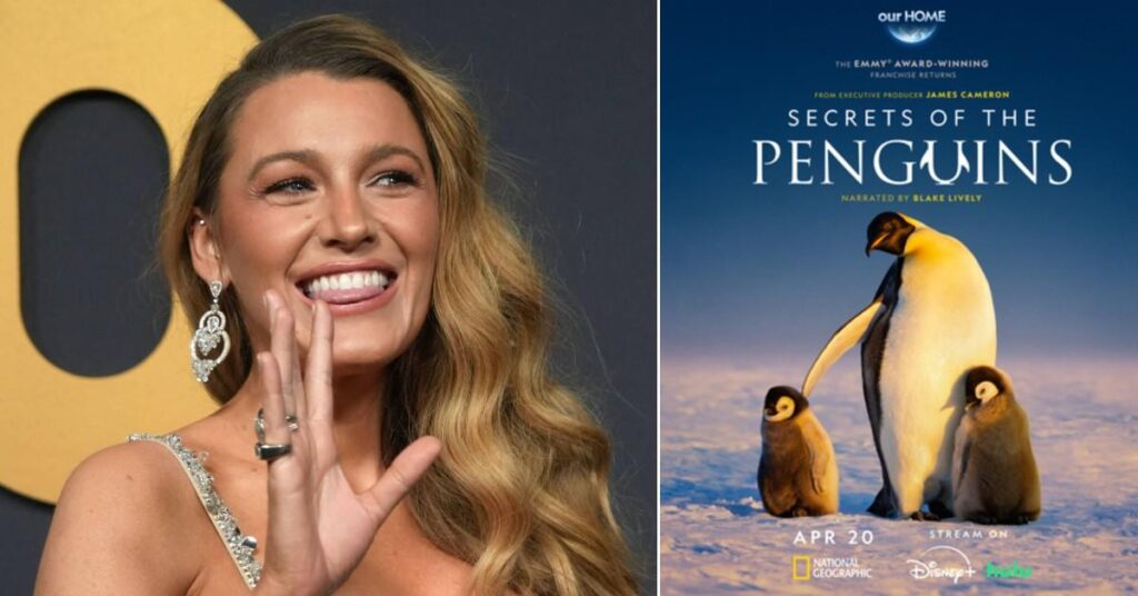 Blake Lively Narrated New Show About Penguins To Boost Poor Showbiz Image