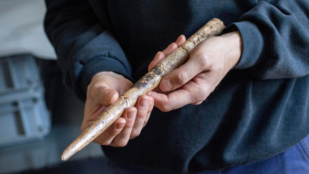 Whale Bone Tools