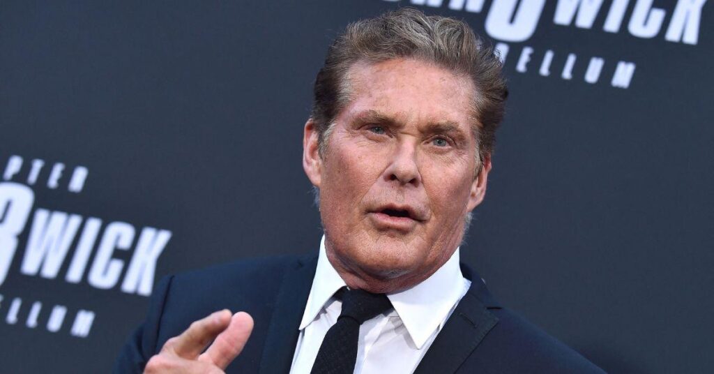 'Baywatch' Star David Hasselhoff Is 'Suffering and Using a Wheelchair'