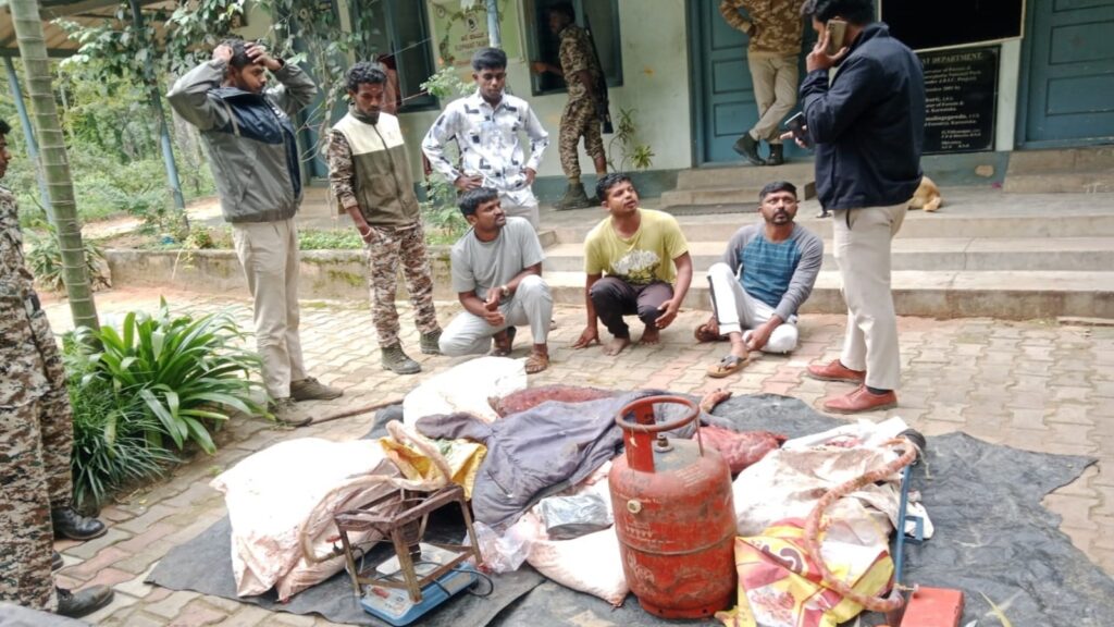 Bengaluru forest officials bust poaching gang; seize 74 kg of meat, nab 1 | Bangalore News