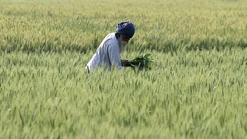 PM Kisan Samman Nidhi Yojana: 6 key steps to receive the 20th instalment | India News