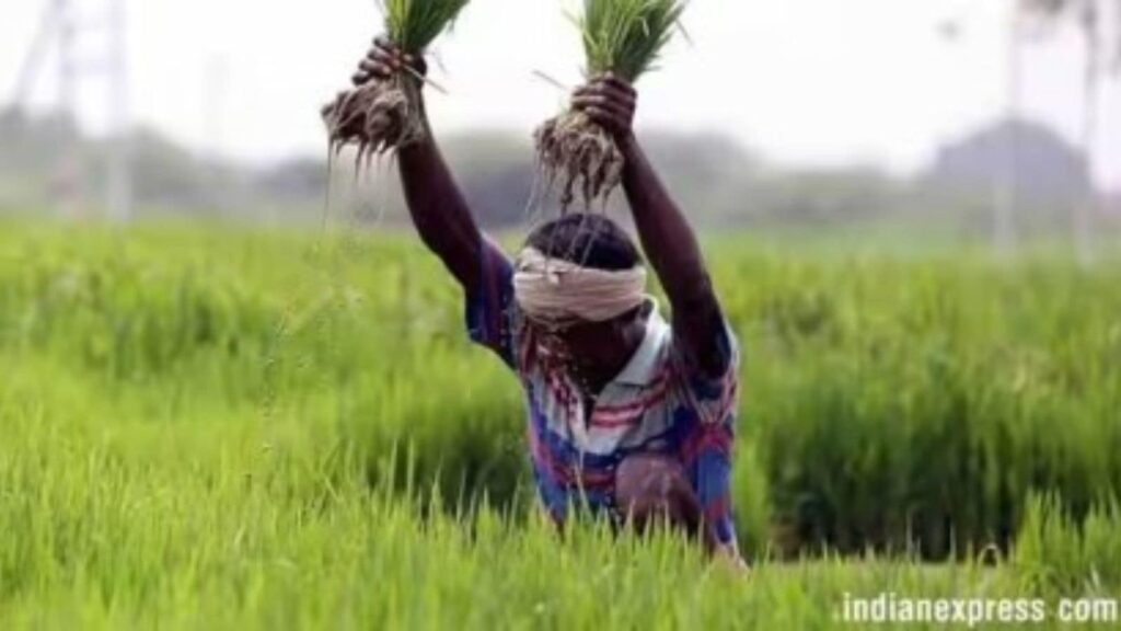 India US trade talks, genetically modified crops India, GM food import restrictions India, GM corn and soya import India,