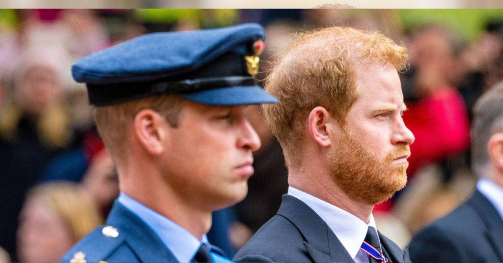 Prince Harry's Royal Peace Talks 'Mean Nothing' Without Prince William