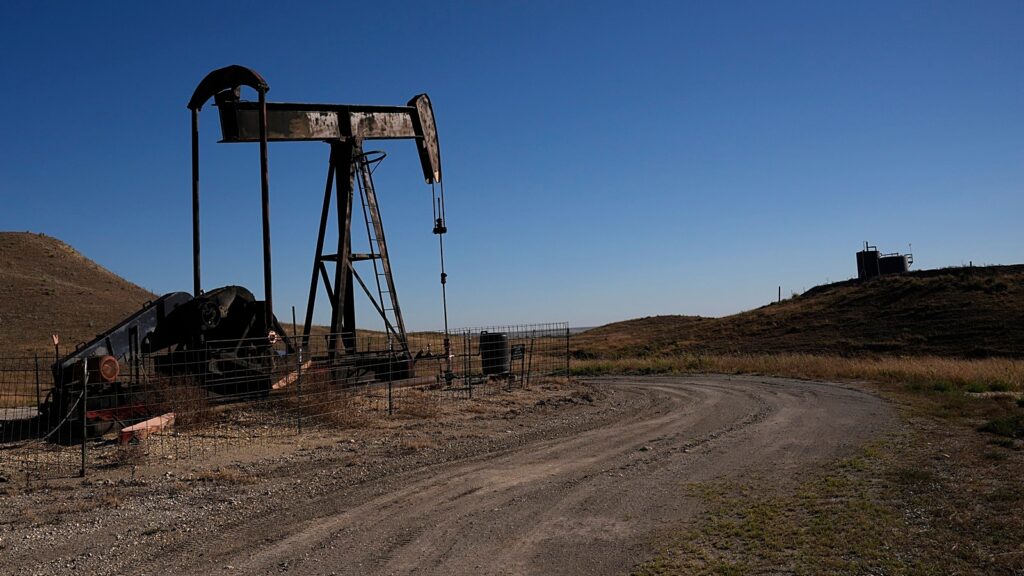 The main import in 2021 was crude oil, valued at over $17 billion, but that has since become negligible. By 2024, imports of fish and crustaceans, nickel, and lead had ceased entirely.