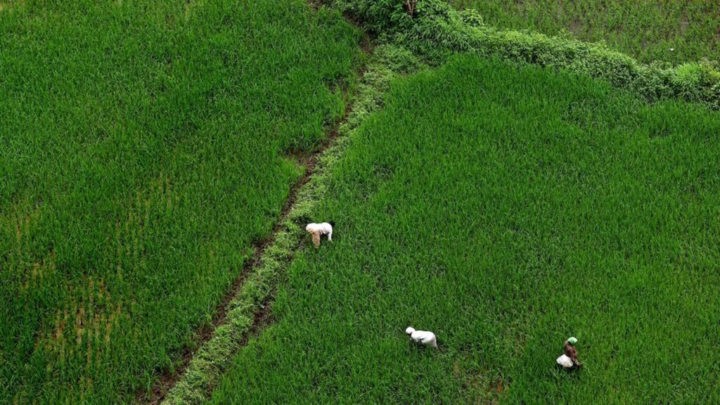 Agri a stumbling block in talks, but India-US trade in sector sees surge