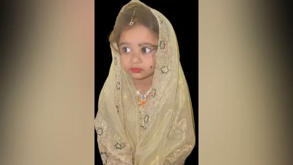 Bitten by stray dogs, 4-year-old girl succumbs to rabies in Bengaluru | Bangalore News