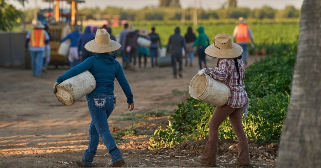 1.2M Immigrants Disappear From U.S. Labor Force Under Trump, Preliminary Data Shows