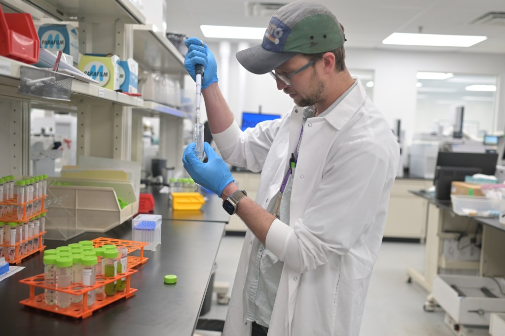 Colorado to spot-check marijuana for contamination