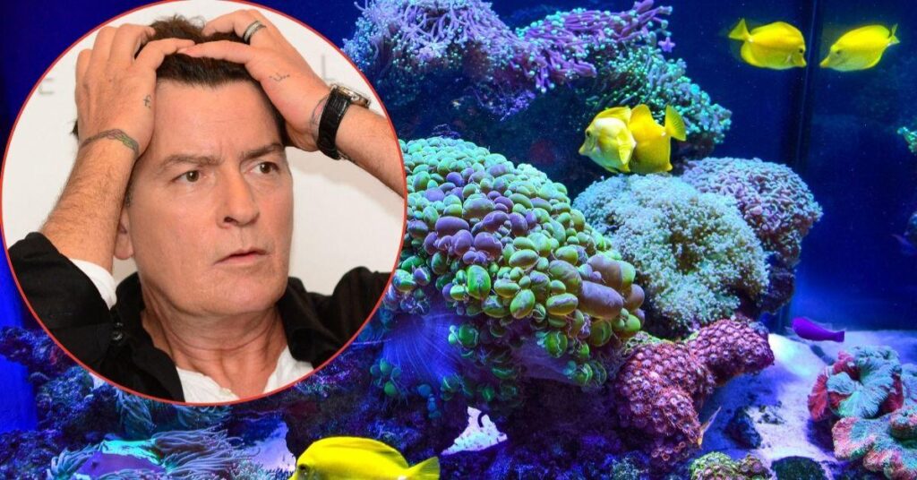 Drunk Charlie Sheen 'Nearly Drowned' After Jumping In His Home Aquarium