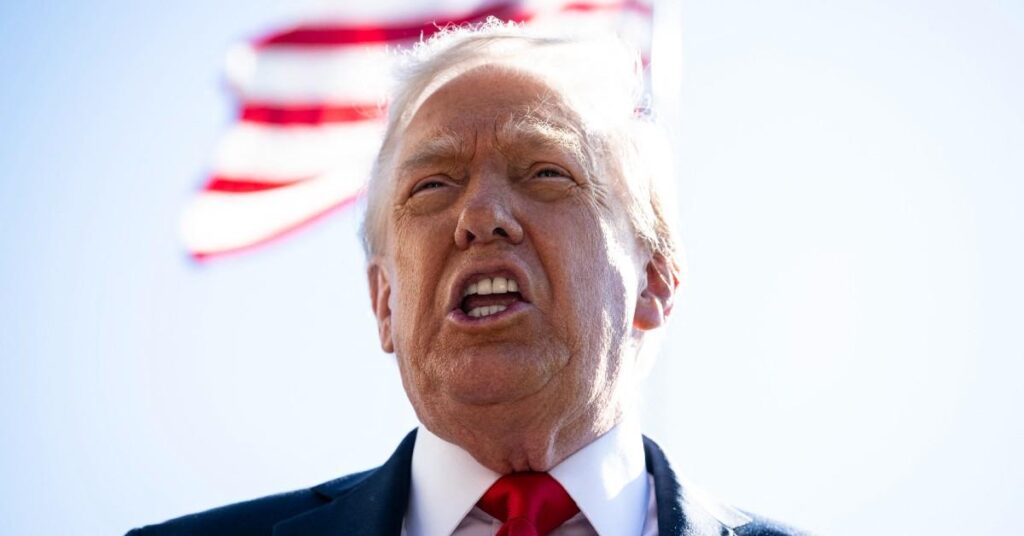 How 'Dictator-Style' Donald Trump 'Could Run for Third Term'