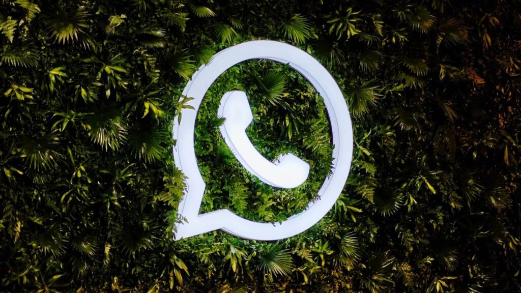 whatsapp-logo-express-photo_00f983