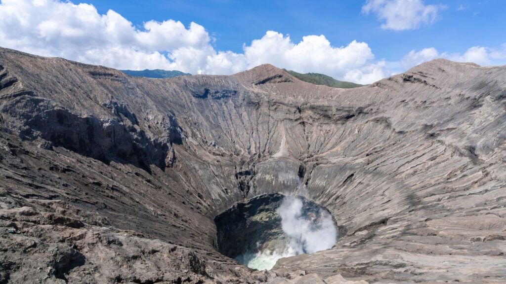 The plague’s toll varied sharply from region to region. It was shaped not only by biology, but by class, access to resources and the ability of cities to withstand food shortages.(Image for representation: Freepik)