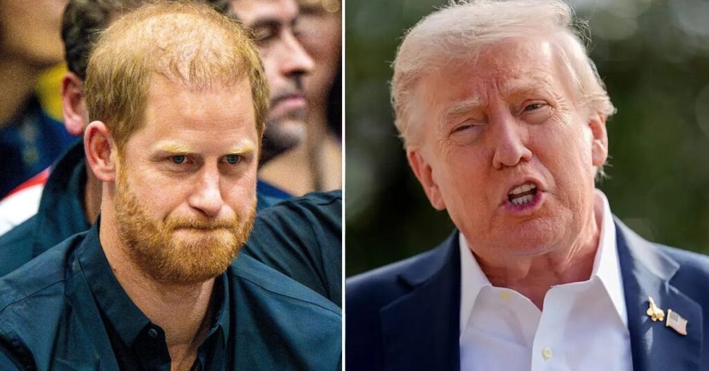 Prince Harry Under Fire For Going to War With Donald Trump